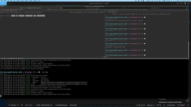 Learning and using NATS Connectivity Technology - Part 18
