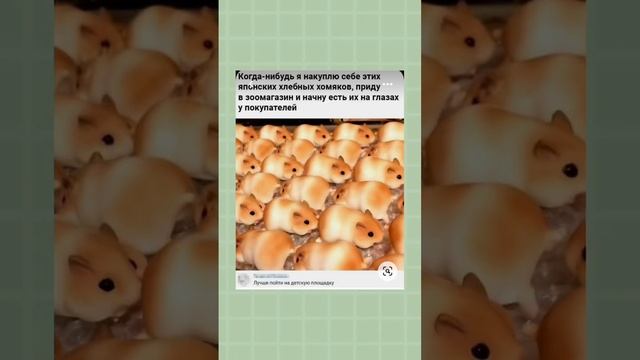 А если в зоомагазине ещё хомяки будут???они от туда сбегут ?