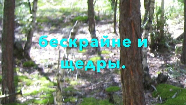 Боровое-островок природы (И. Червякова)_Borovoe-is island of nature (I. Chervyakova)