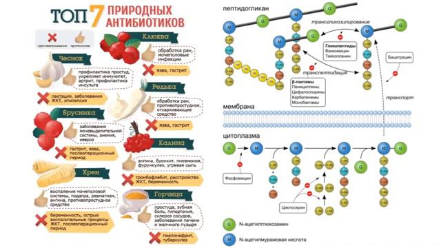 Антибиотики   что это