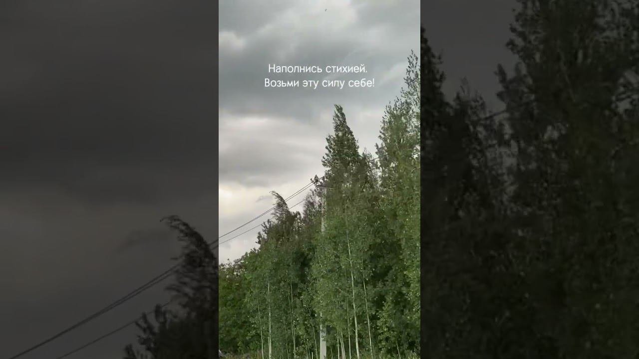 Наполнись силой природы #наполнениеэнергией #кундалинийога #силаприроды