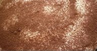 очень нежный тирамису. тает во рту. рекомендую всем. very gentle tiramisu.