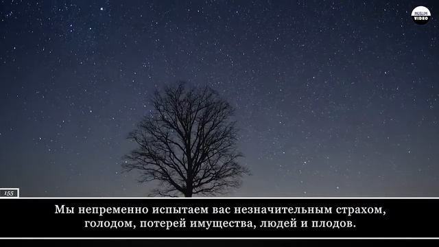 Salim Bahanan - Сура 2 Аль-Бакара Корова аяты 152-157