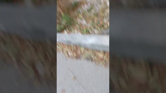 2 часть мы увидели бомжа мы услышали его.
