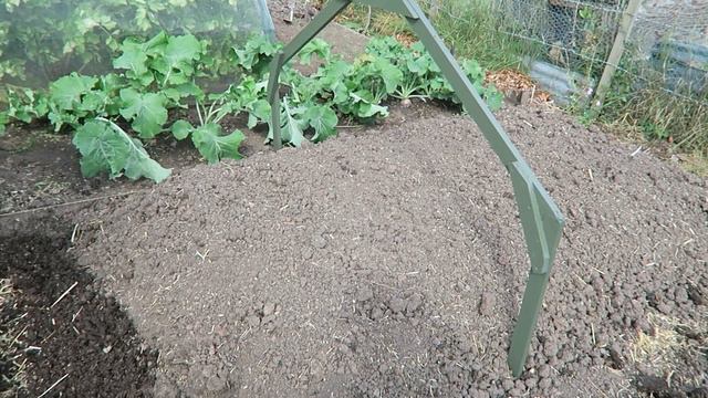 Grease Banded Fruit Trees, Harvested Crops,  Prepared Ground For Onions.