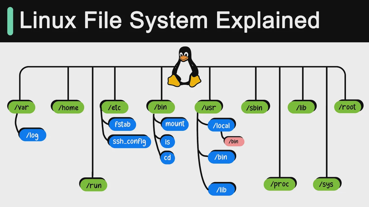 53 - Linux File System Explained!