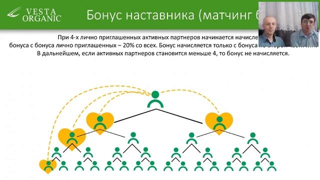 Маркетинг-план компании Vesta Organic. 19 февраля 2019