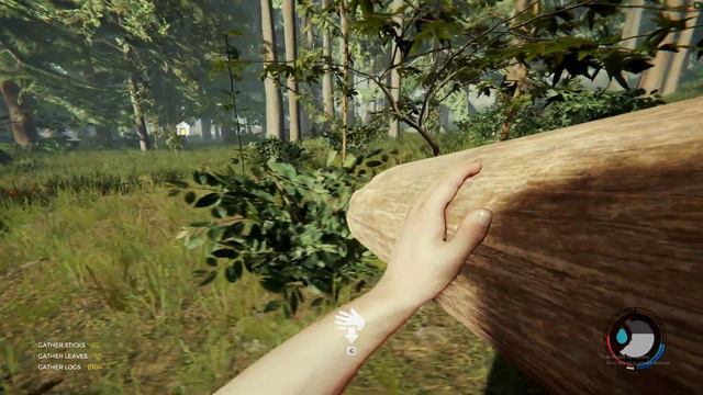 The Forest Multiplayer MOD I
