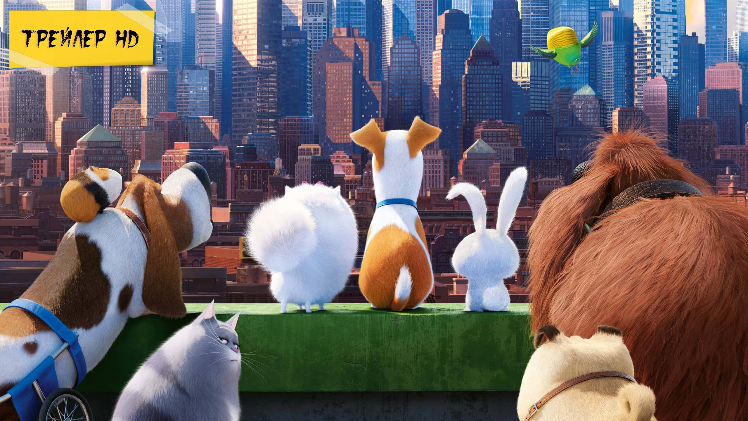 Тайная жизнь домашних животных / The Secret Life of Pets (2016)