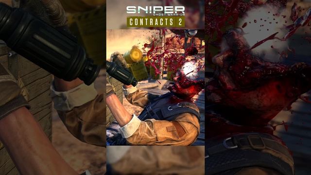 СНАЙПЕР. 3 ПУЛИ В ГОЛОВУ Sniper Ghost Warrior Contracts 2
