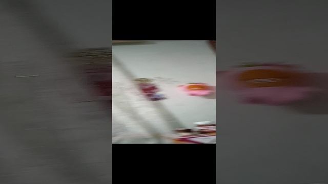 VID_20231229_164826.mp4