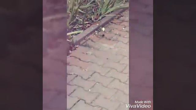 Закон Сансары