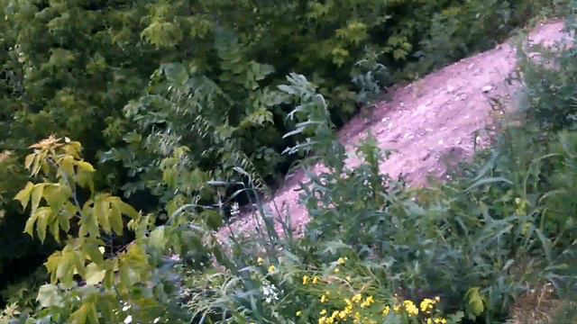 Getting ready for the summit SCO - BRICS in Ufa: safery issues or a path into nowhere