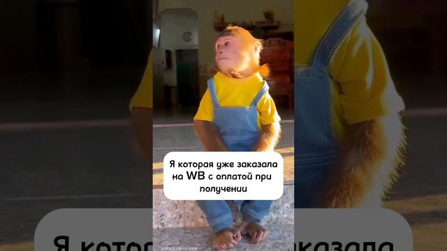 Сэкономим в следующем месяце 😂