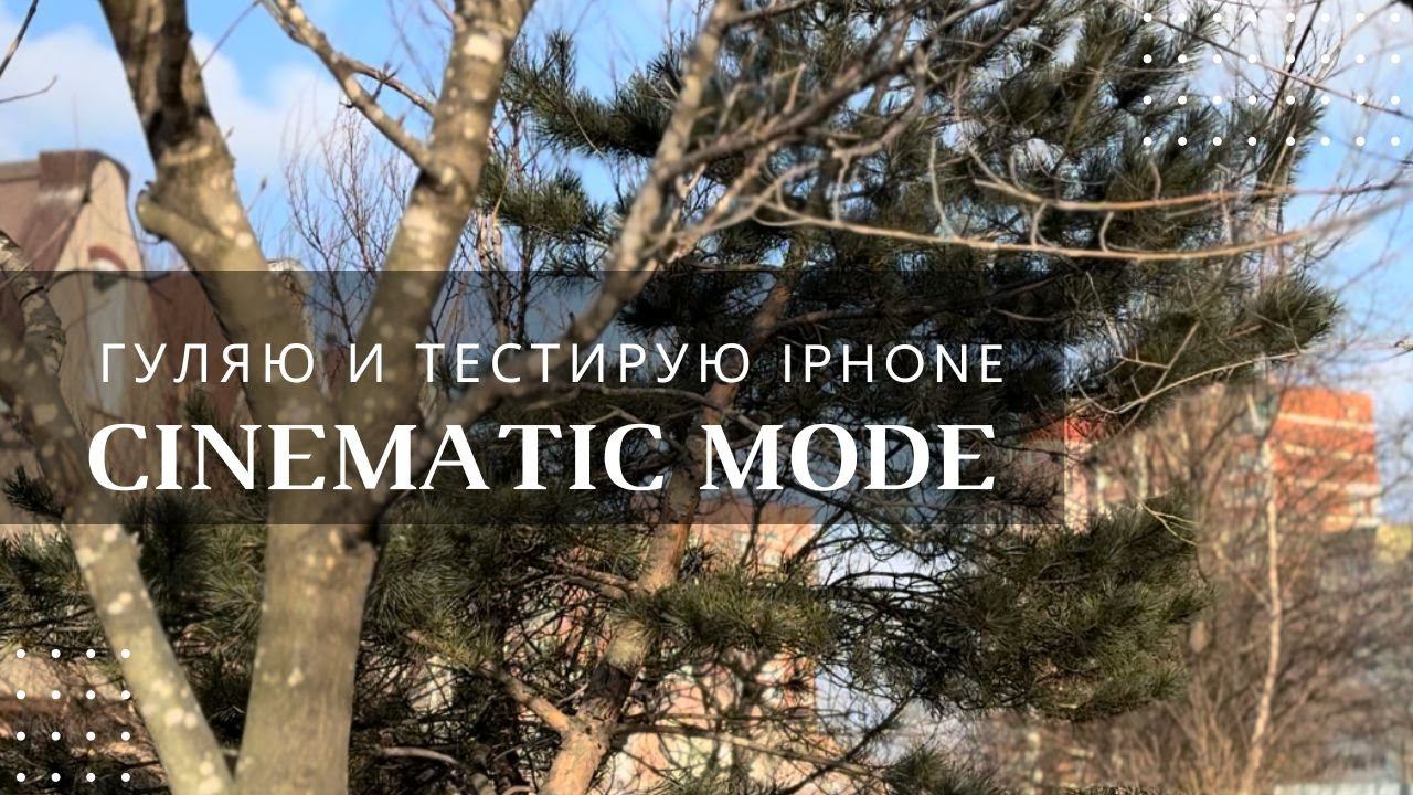 Тестирование режима Cinematic Mode на iPhone 15 Pro Max / Гуляю и тестирую  iPhone 15 Pro Max