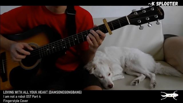 Loving With All Your Heart (Damsonegongbang) - Fingerstyle Guitar Cover  [I’m Not a Robot OST]