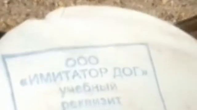 ИЩЕЙКА-КРЫСА
