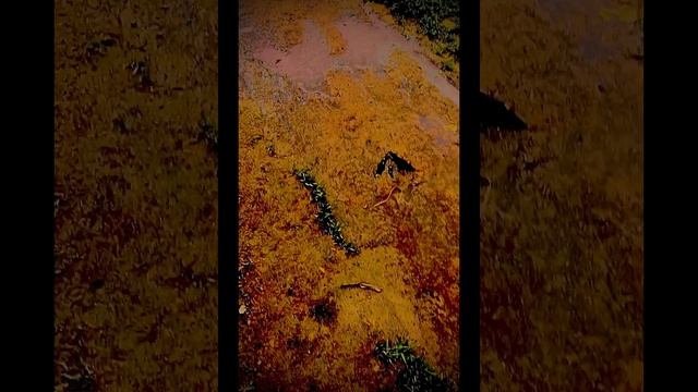 2023-01-30