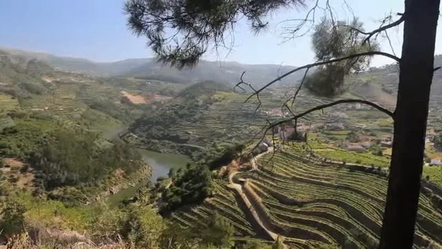 Отдых в Алгарве: 1 минута видео руководство путешествия