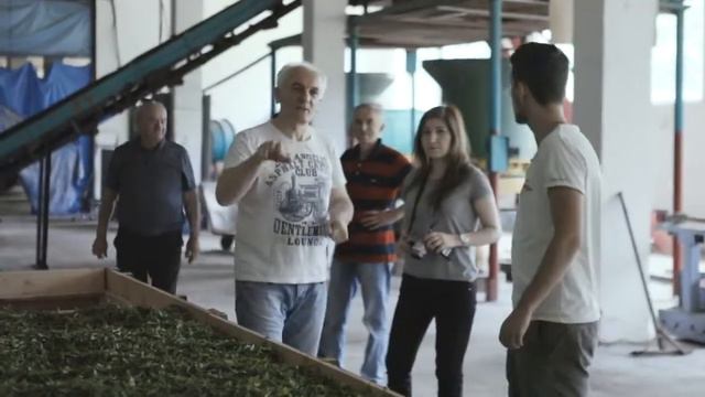 Грузинский чай Bitadze Tea Exclusive (промо)