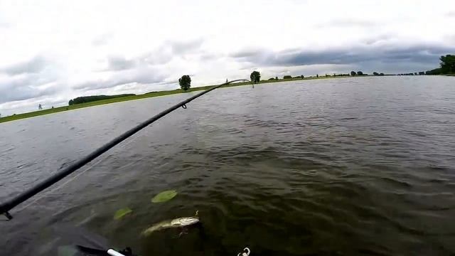 trolling.Судаки, как крокодилы.... (Ловим хищника на реке Maas)