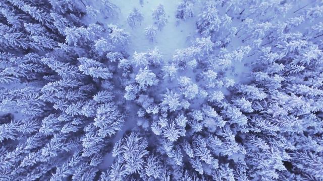 WINTER TALE /MUSIC VIDEO