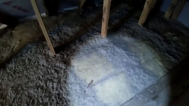 эковата на потолке. кучи снега ,промезает