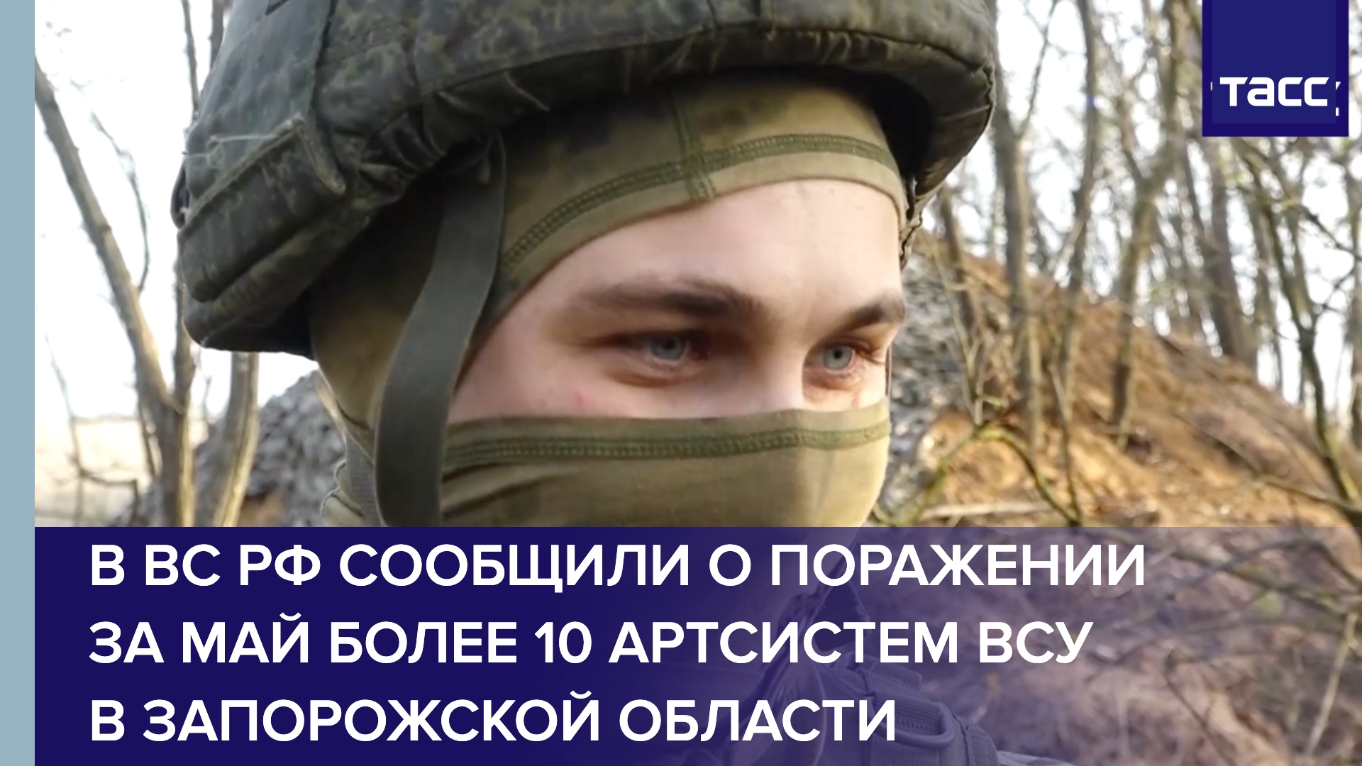 В ВС РФ сообщили о поражении за май более 10 артсистем ВСУ в Запорожской области