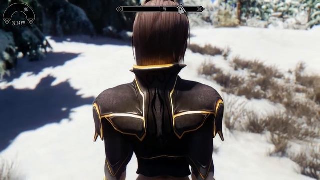 Thalmor Viceroy Inquisitors Armor CBBE Skyrim Mod