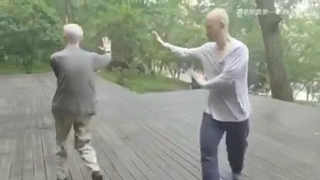 Ван Ци (王祺) лаоши обучает багуачжан (八卦掌) или "Ладони восьми триграмм" / Wang Qi