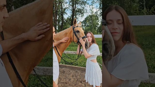 Фотосессия с лошадьми, история любви.