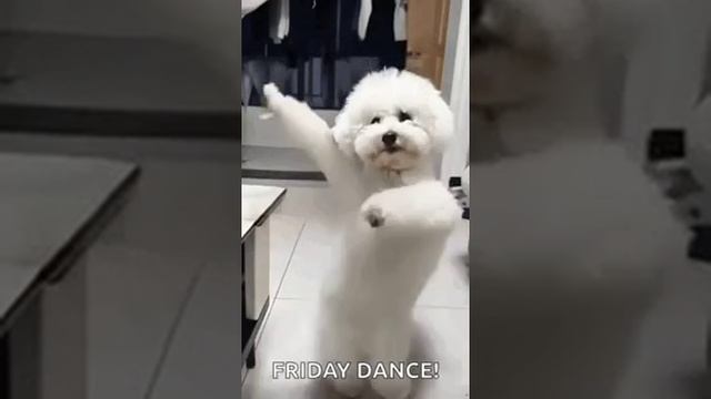 1000007221.mp4
