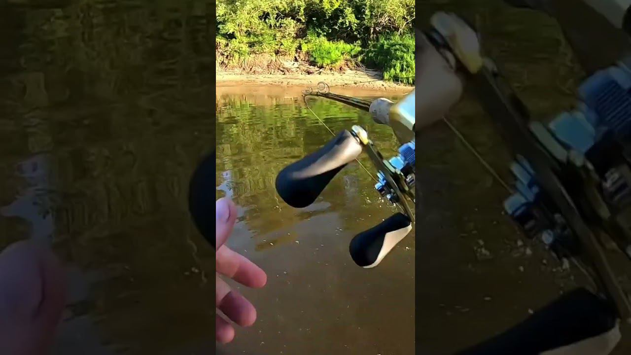 Topwater pike #shorts #short