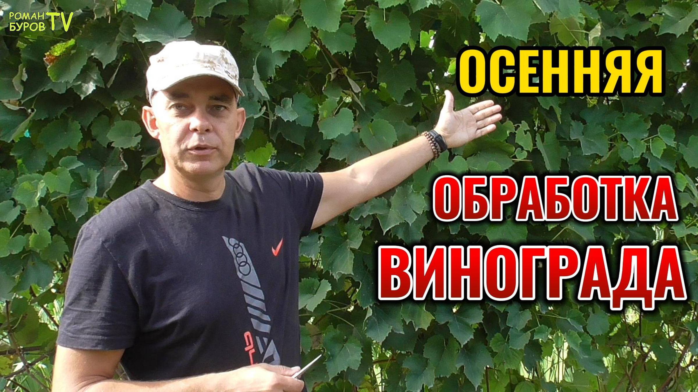 🍇ЧТО ДАТЬ ВИНОГРАДУ В СЕНТЯБРЕ ДЛЯ УСКОРЕНИЯ ВЫЗРЕВАНИЯ ЛОЗЫ ПОСЛЕ СБОРА УРОЖАЯ 👌