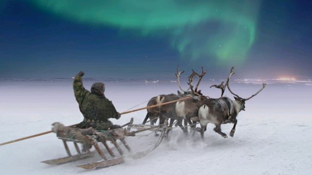 ,, А олени лучше ! "