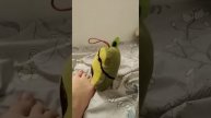 Соник.+-4":6'5 &6+-:+_+_-₽;3