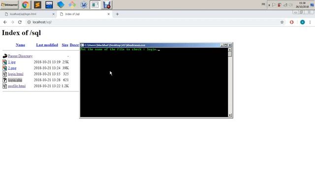 Security programming code scanner for vulnerability Delphi/Pascal