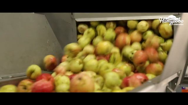 О производстве Агрофабрики Натурово