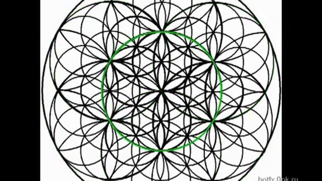 Music of Universe - Flower of Life Znakopit 2013 Цветок Жизни Znakopit