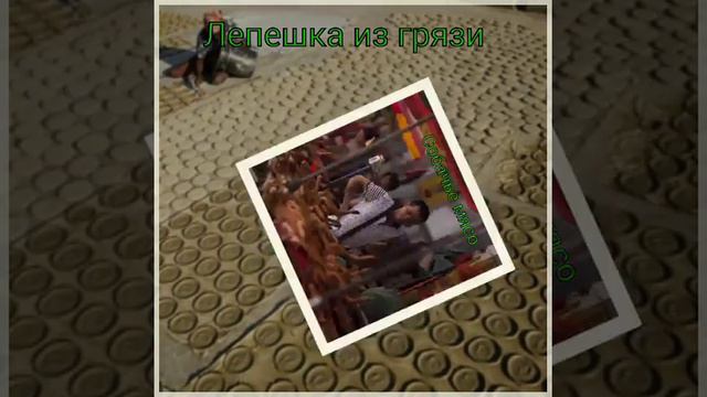 Самые противные блюда в мире