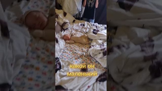 реакция детей на родившесего брата