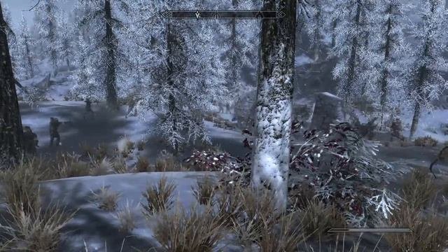 Forgot That I Added A Civil War Mod Skyrim Special Edition