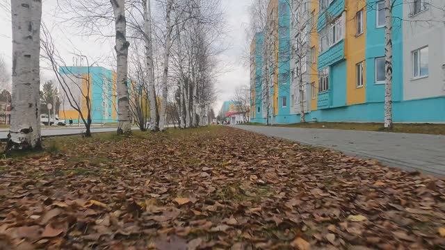 С Gopro на самокате по осеннему городу