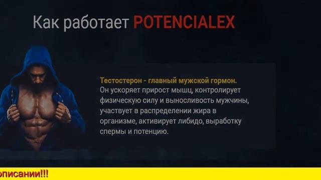 Купить Потенциалекс в Красноярске