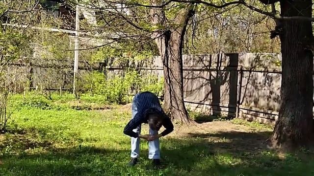 Спонтанный цигун в саду