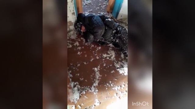 8ee69263-4bcc-48c0-8c5b-0b0f56111086-1_all_506.mp4