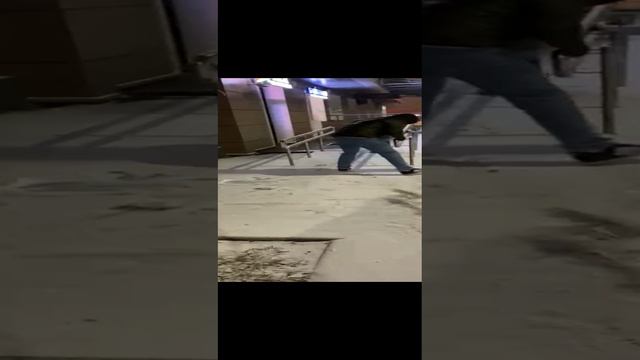 Снежки#