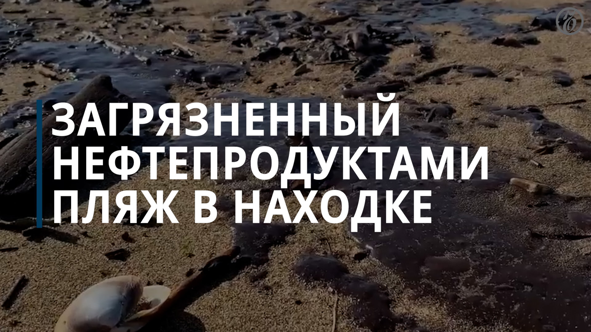 В Находке пляж оказался загрязнен нефтепродуктами — Коммерсантъ