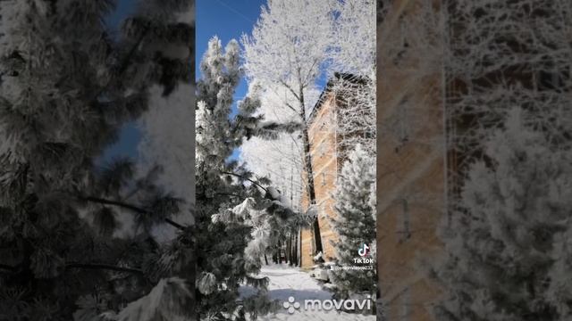 По-зимнему красиво