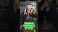 Луковицы тюльпанов для выгонки #тюльпаны #выгонка #выращиваниетюльпанов